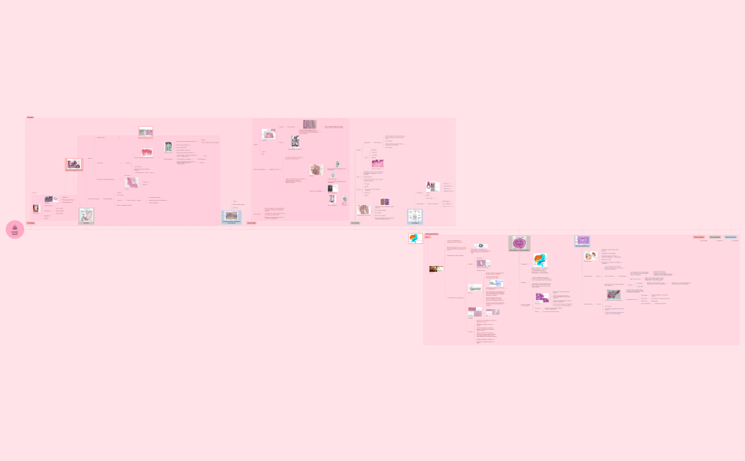 Méditation body scan