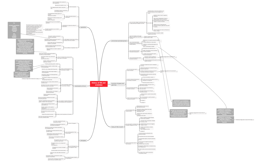 History of life and evolution