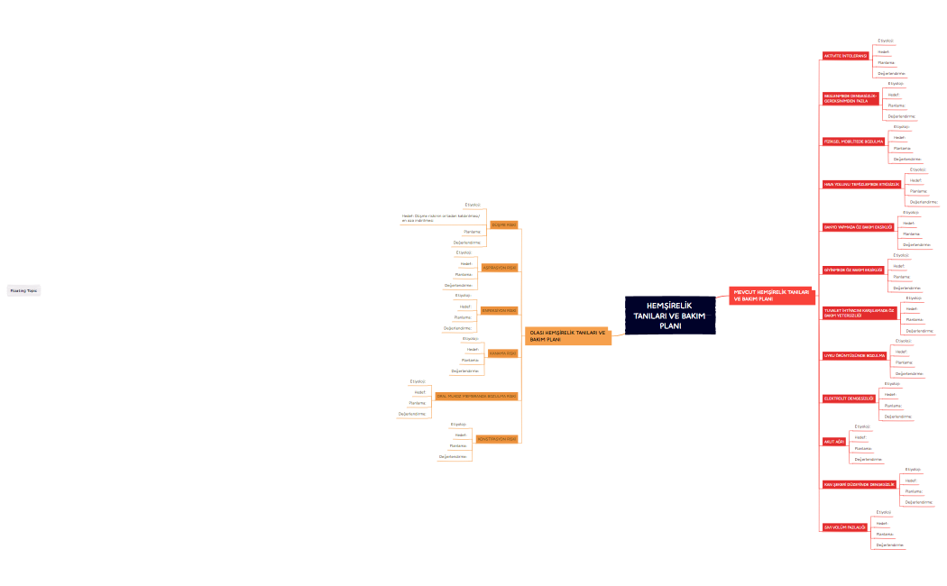 HEMŞİRELİK TANILARI VE BAKIM PLANI