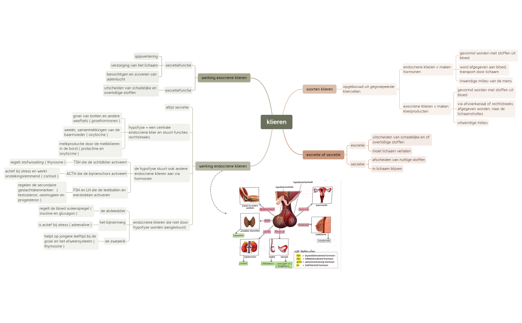 biologie soorten klieren