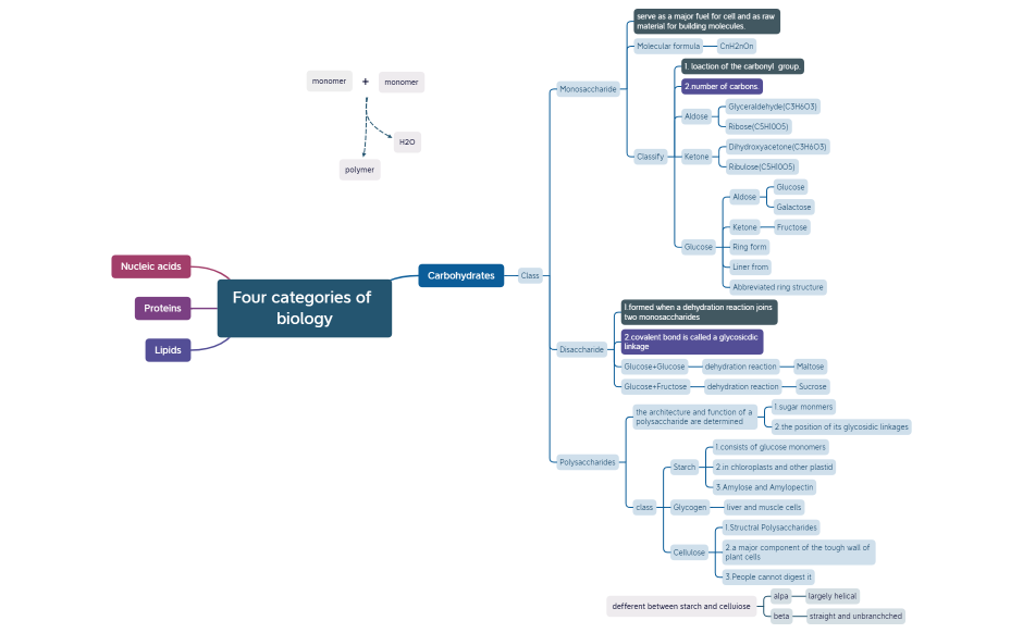 Four categories of biology.xmind