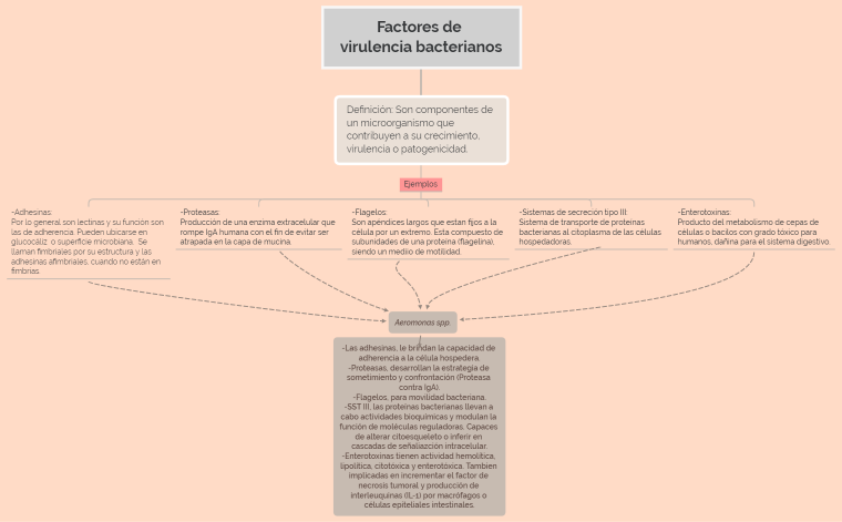 Factores de virulencia bacterianos