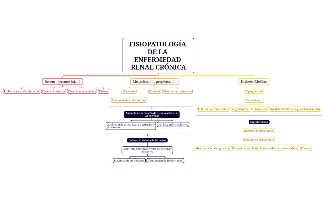 FISIOPATOLOGÍA DE LA ENFERMEDAD RENAL CRÓNICA