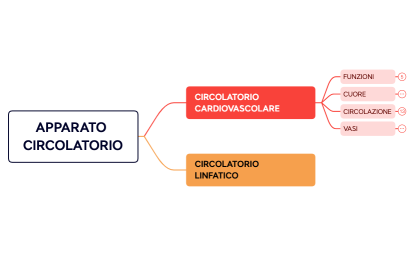 APPARATO LOCOMOTORE