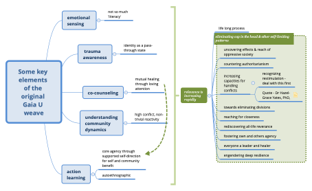 Some key elements of the original Gaia U weave