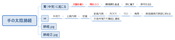 手の太陰肺経