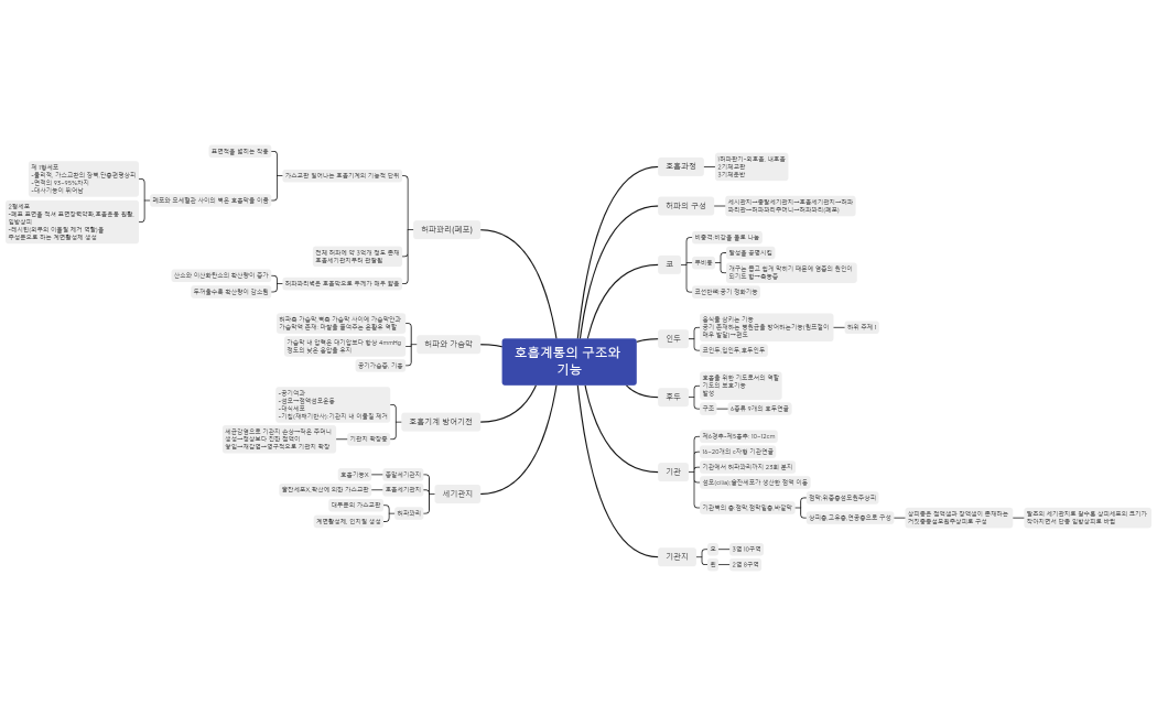 호흡계통의 구조와 기능