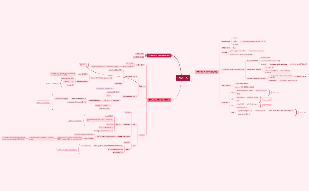AORTA