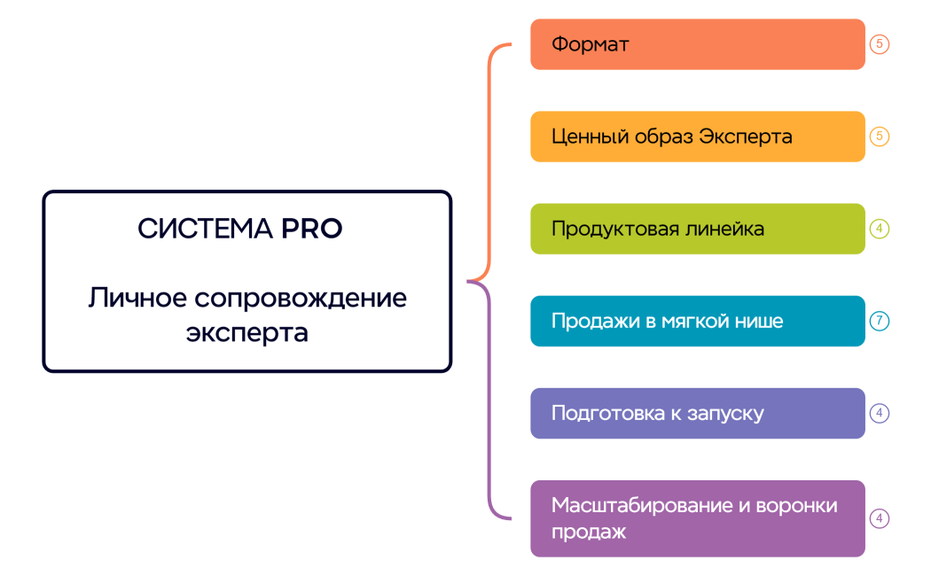 СИСТЕМА PRO                              Личное сопровождение эксперта