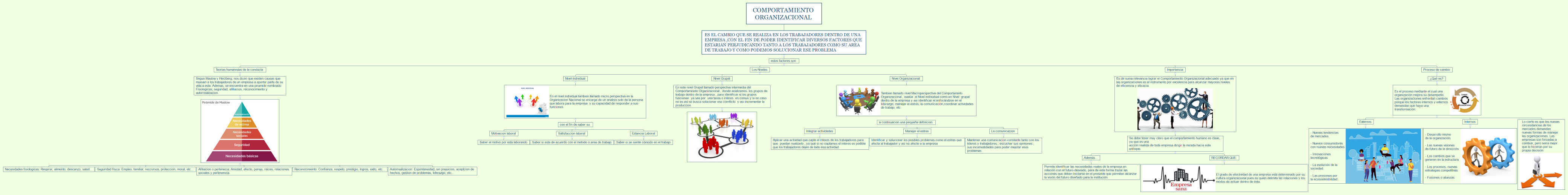 Comportamiento Organizacional 