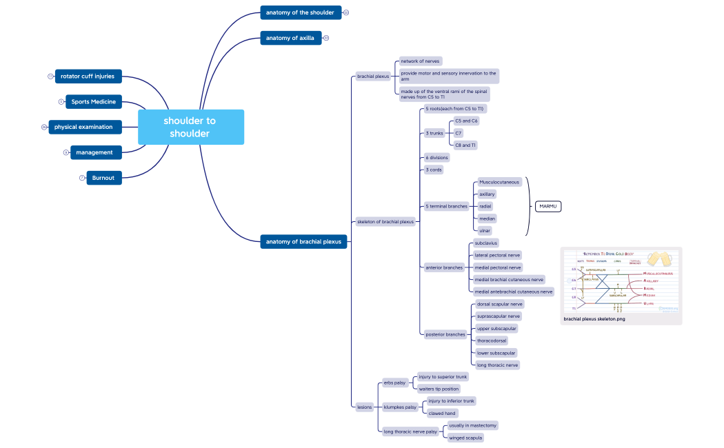 shoulder to shoulder 