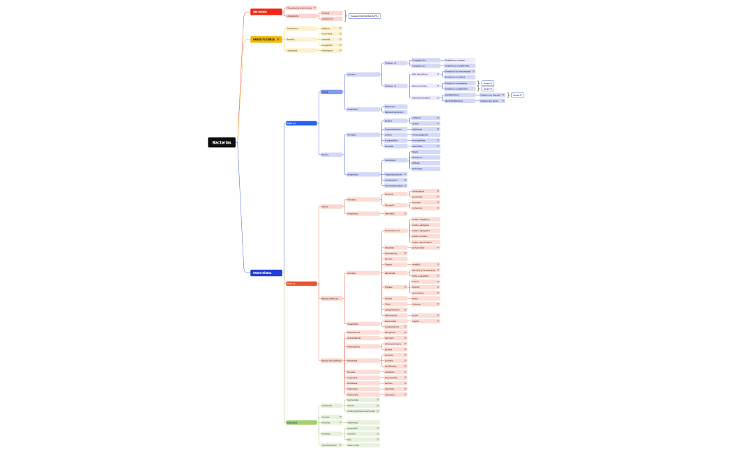 Bacterias.xmind