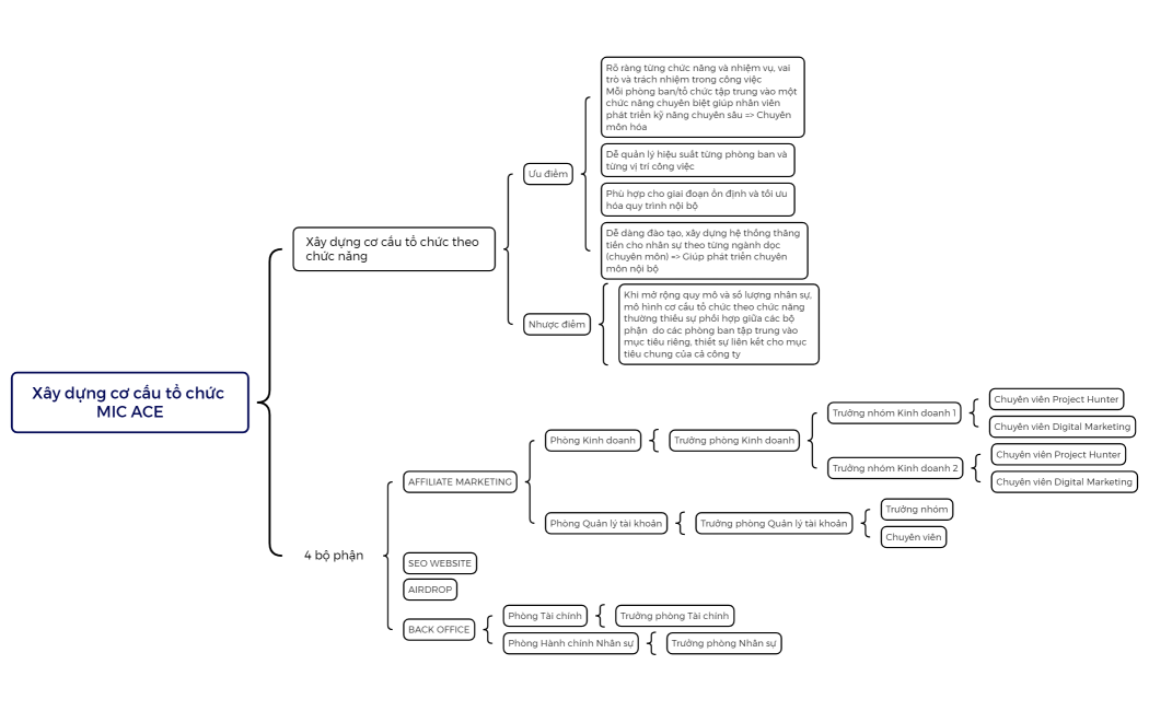 Xây dựng cơ cấu tổ chức MIC ACE
