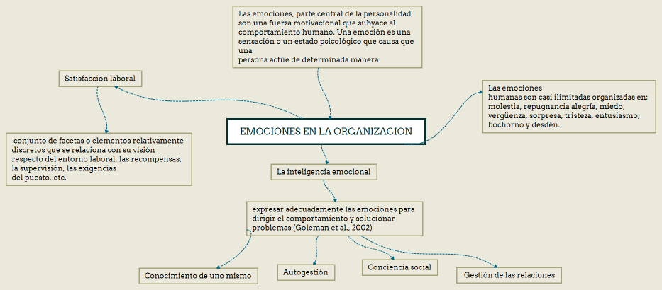 EMOCIONES EN LA ORGANIZACION