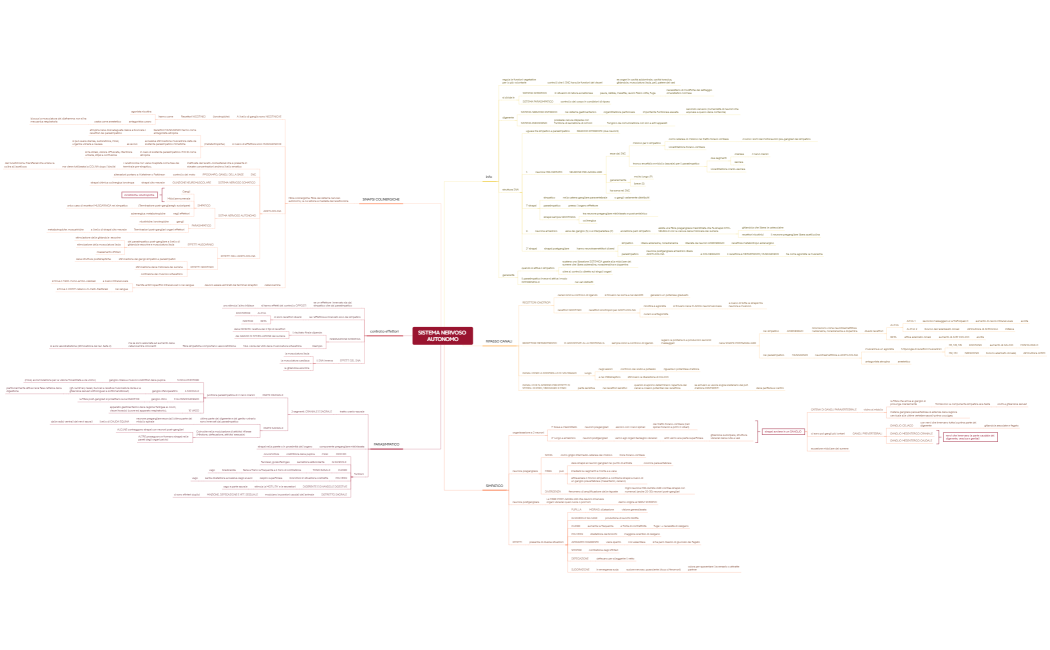 SISTEMA NERVOSO AUTONOMO