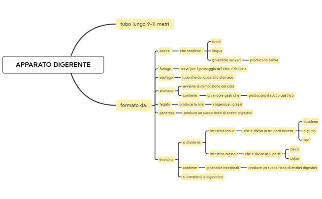 apparato digerente, scienze degli alimenti, secondo anno