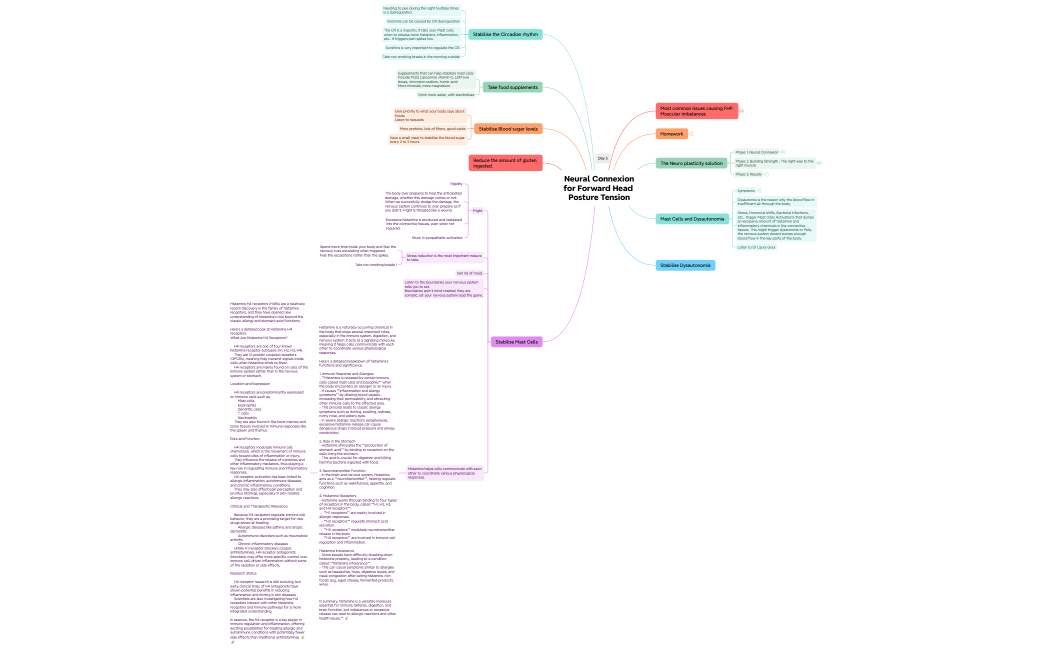 Neural Connexion - Day 3