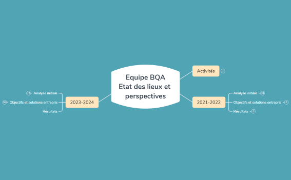 Equipe BQA Etat des lieux et perspectives