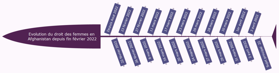Evolution du droit des femmes en Afghanistan depuis fin février 2022