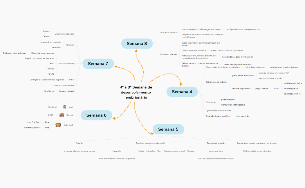 4_a_8_Semana_de_desenvolvimento_embrionriohiqekbmjYDvkL02847eVszAKfb1jtZJ98722-Ueassv-WUvh2j6-69948