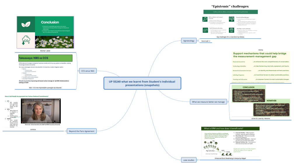 UP 55240 what we learnt from Student's Individual presentations (snapshots)