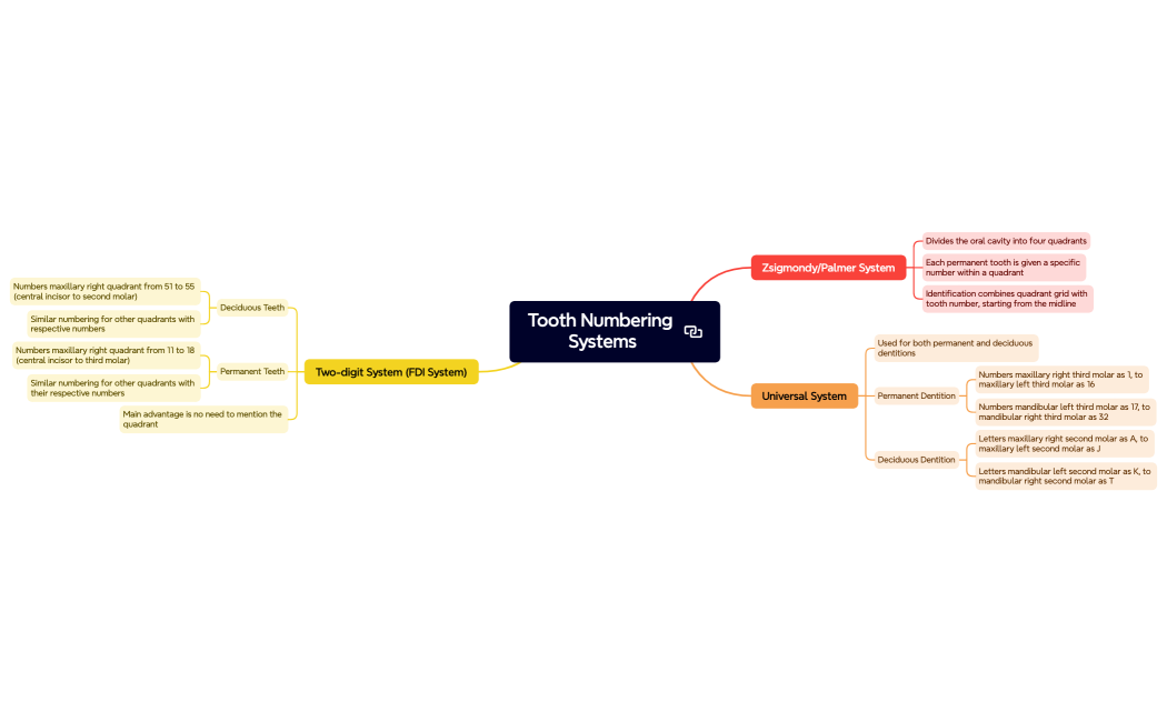 Tooth Numbering Systems