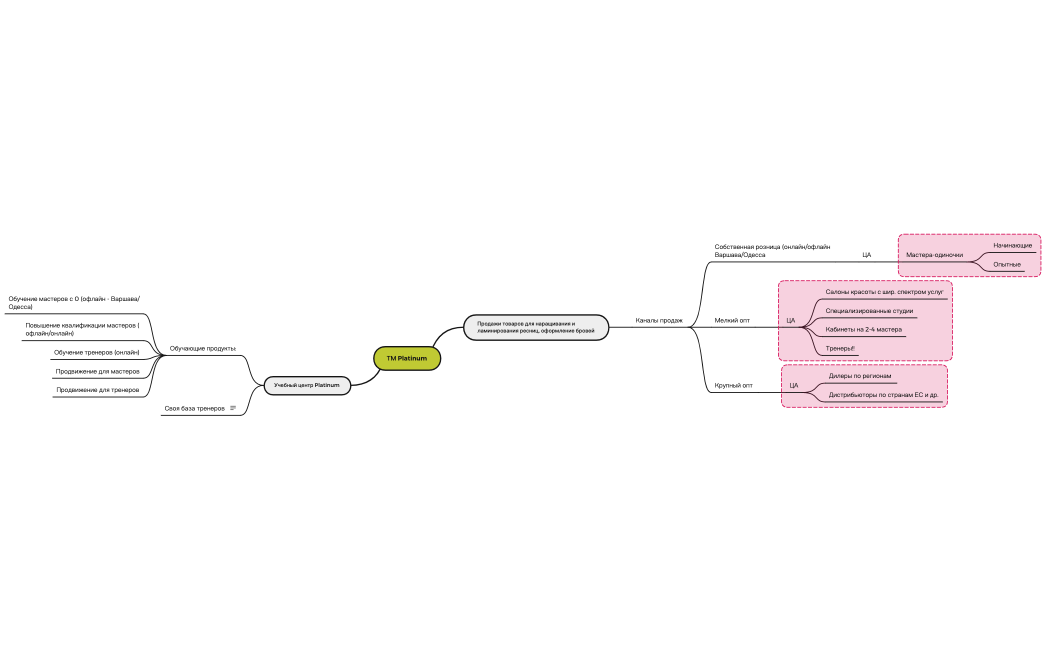 ТМ Platinum_стратегичесская сессия