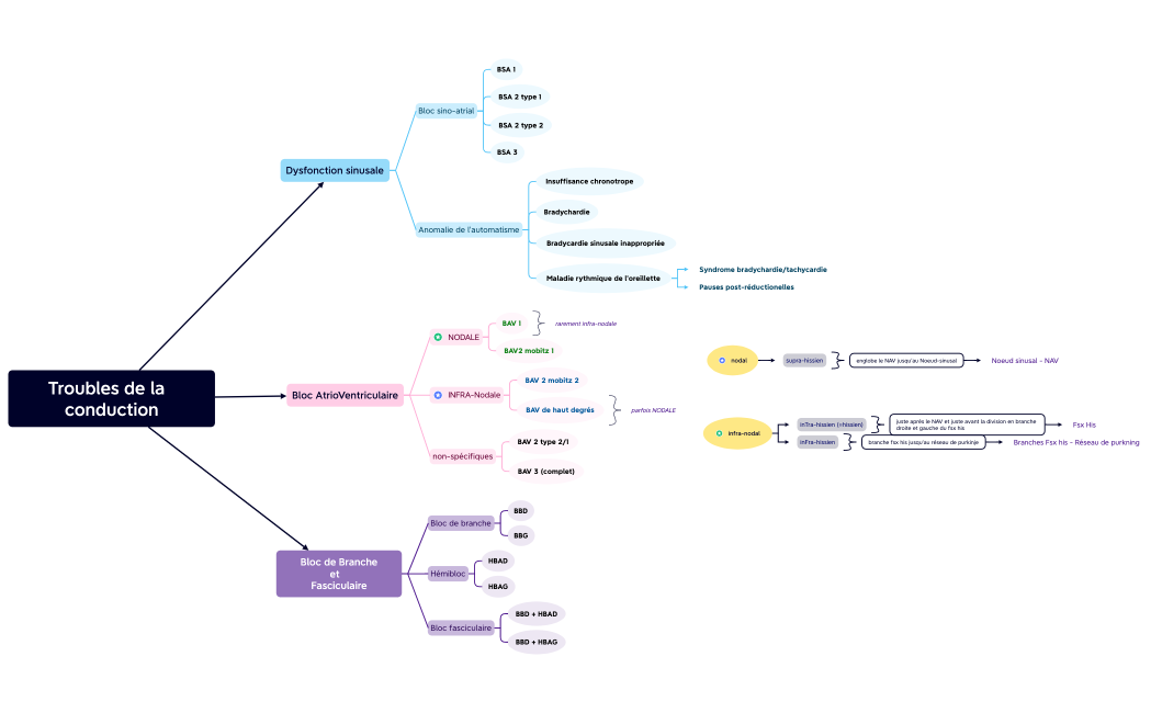 Troubles de la  conduction
