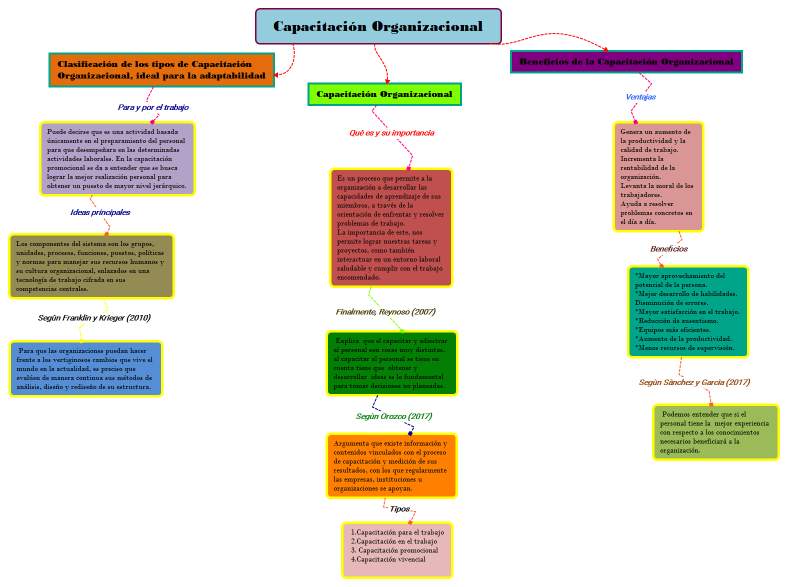 Capacitación Organizacional