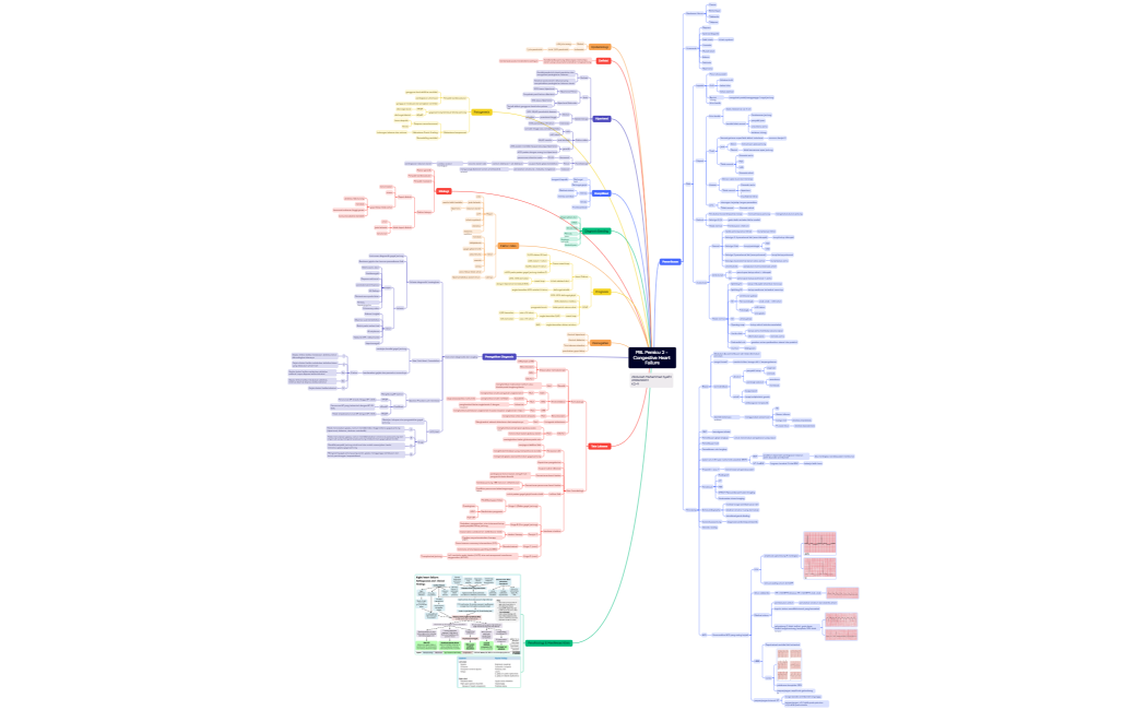 PBL Pemicu 2 - Congestive Heart Failure