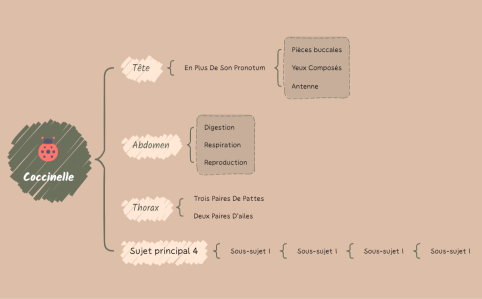 Coccinelle.xmind