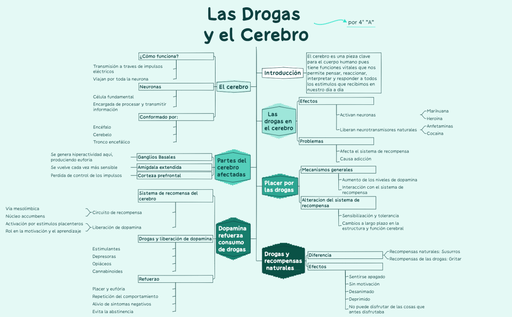 English Speaking Proficiency