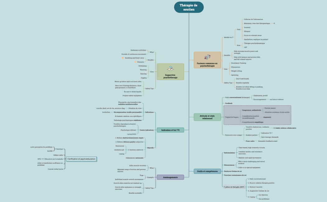 Thérapie de soutien