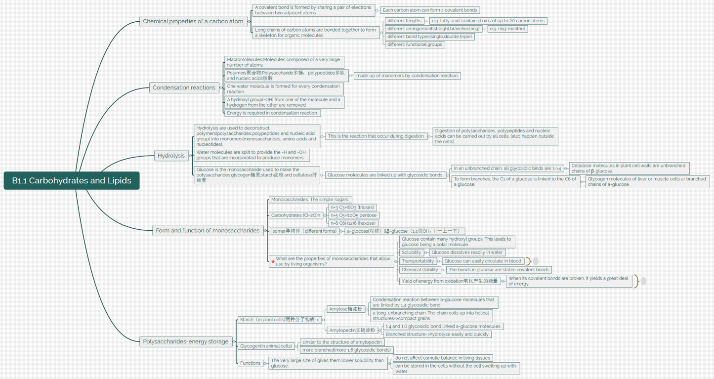 B1.1 Carbohydrates and Lipids