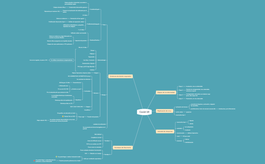 Covid 19 mapa mental