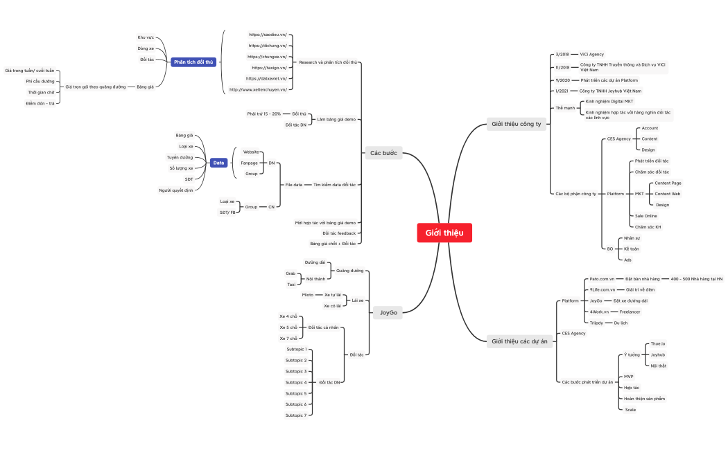 Giới thiệu JoyGo