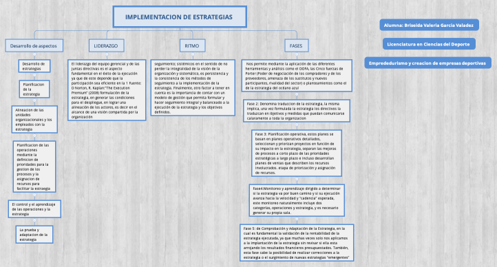 IMPLEMENTACION DE ESTRATEGIAS 