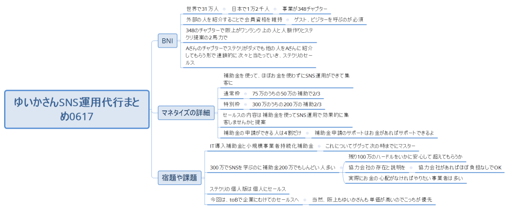 ゆいかさんSNS運用代行まとめ0617