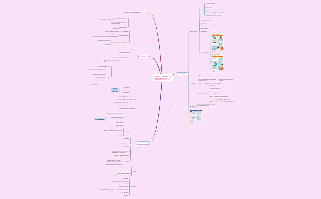 OWG 2.13 Maternale kraambedcontroles