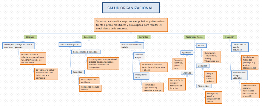 SALUD ORGANIZACIONAL 