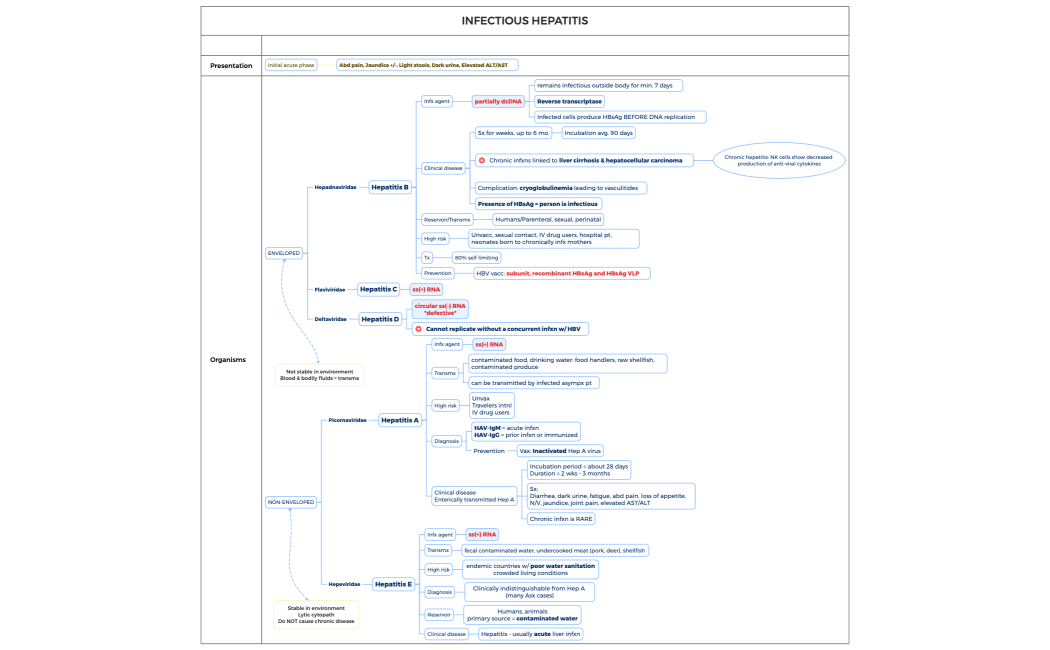 INFECTIOUS HEPATITIS