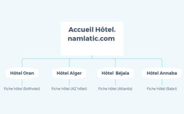 NAMLATIC_STRUCTURE_SITE_FR
