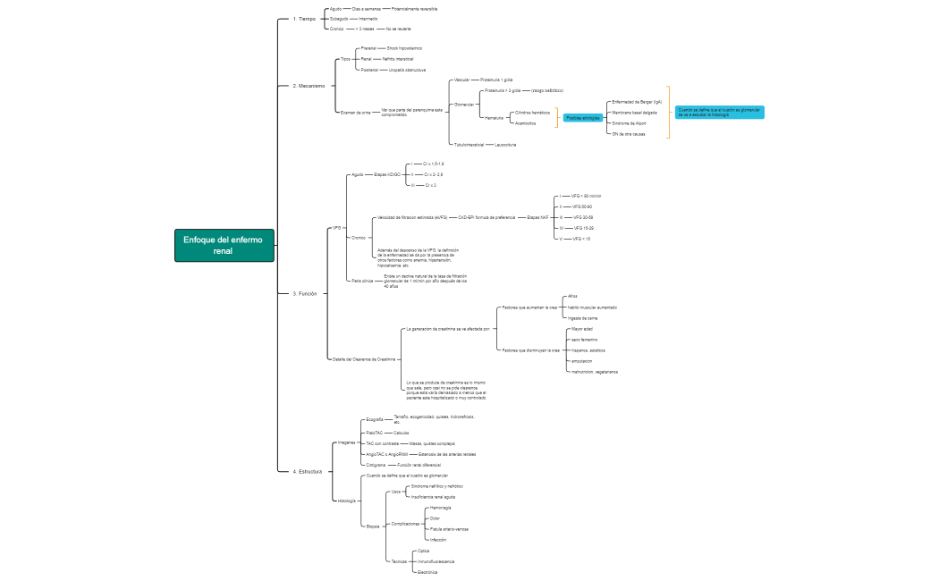 1. Enfoque del enfermo renal