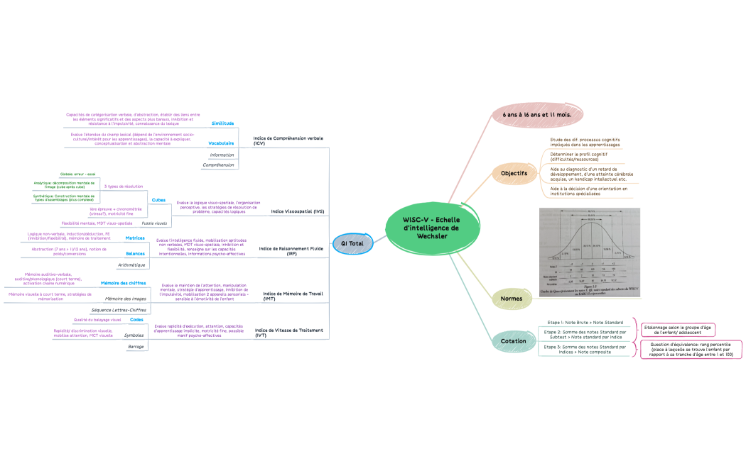 WISC-V - Echelle d'intelligence de Wechsler