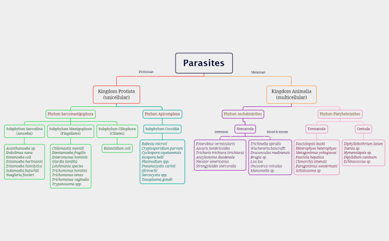 Taxonomy-Parasites.xmind