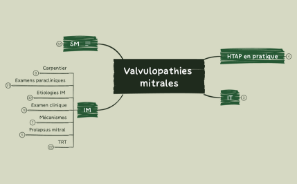 Valvulopathies mitrales