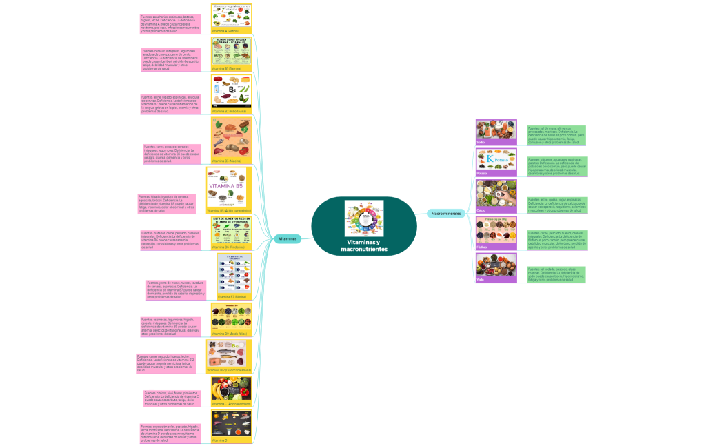 Vitaminas y macronutrientes