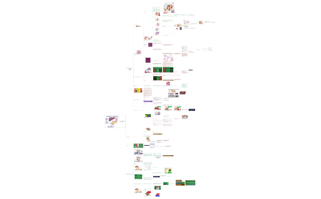 Páncreas, hígado y vesícula biliar