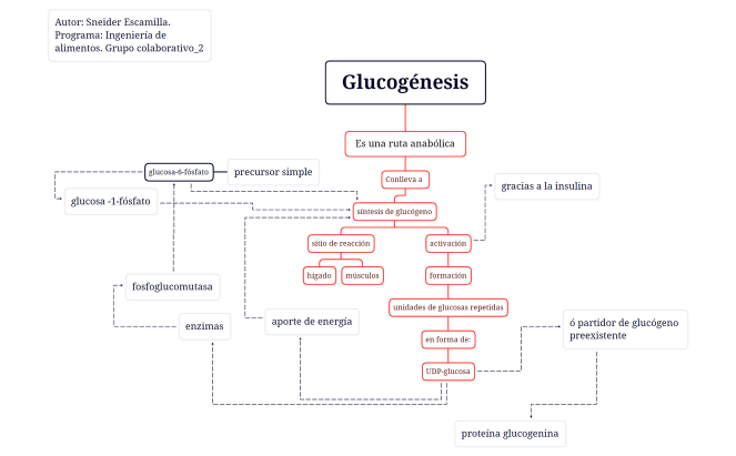 Glucógenos