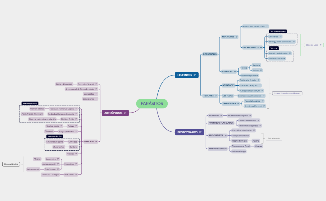 PARÁSITOS